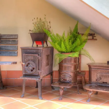 Guest house Luciana Diano Castello